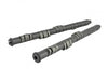 Skunk2 Racing B-Series VTEC Pro Stage 1+ Camshafts